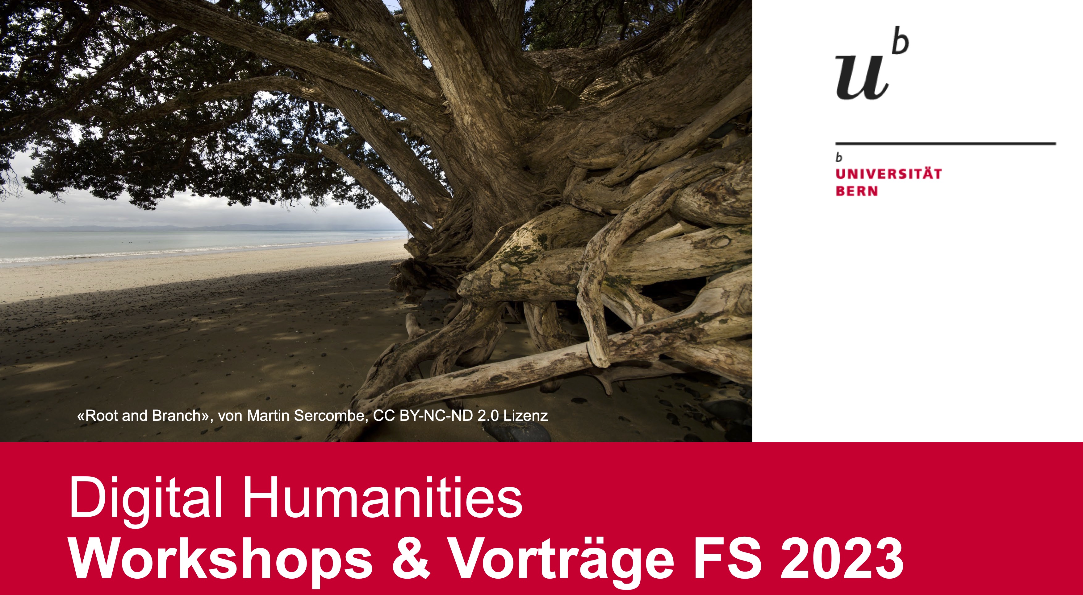Programm der Vorlesungen und Workshops